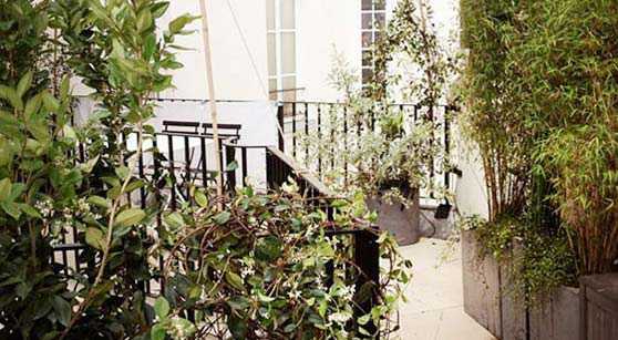 Photos avant - aprés de l'aménagement d'une terrasse à Lyon par un jardinier paysagiste