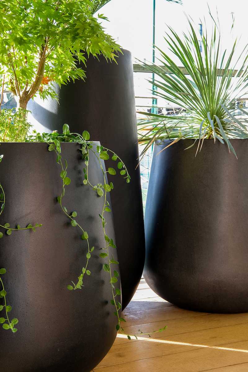 Optimisation et végétalisation d'une petite terrasse - le coin détente avec plantes en gros pots
