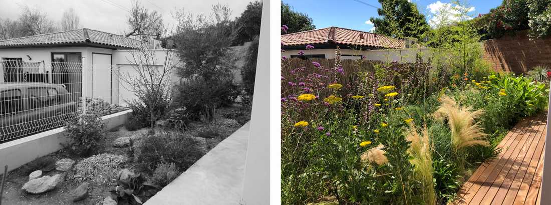 Avant-après de l'aménagement d'une petit jardin dans un lotissement par un paysagiste dans le Rhône