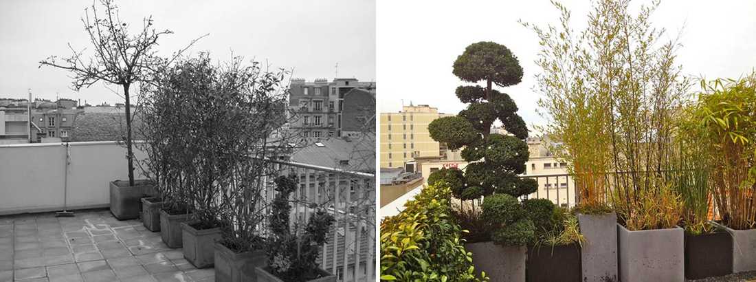 Avant - Après : Aménagement paysagé d'une terrasse avec vue à Lyon