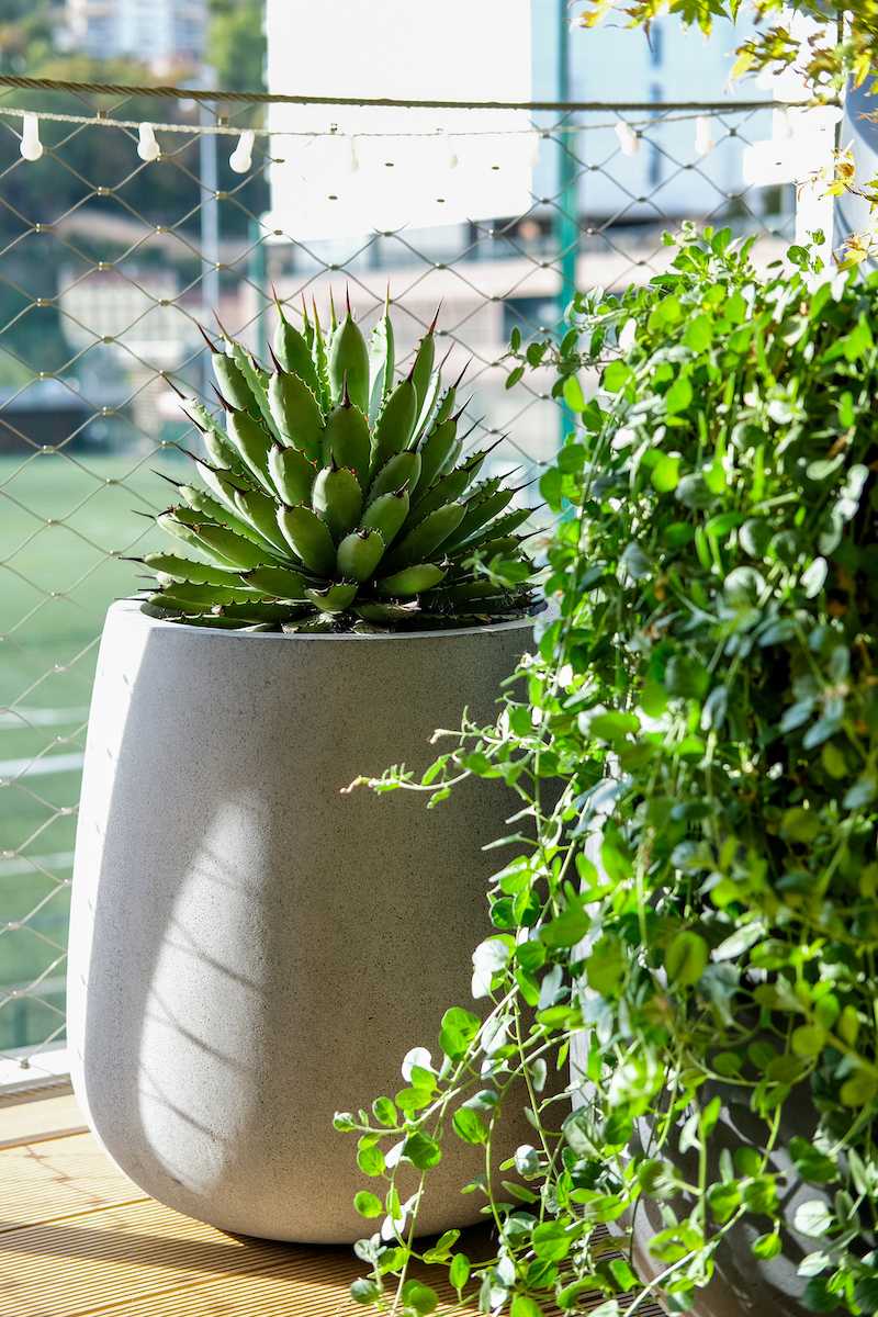 Optimisation et végétalisation d'une petite terrasse - le coin détente avec plante en petit pot