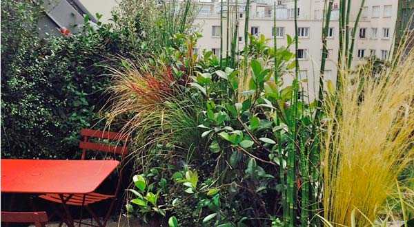 Avant aprés de la rénovation d'une terrasse sur un toit en zinc dans un appartement à Lyon