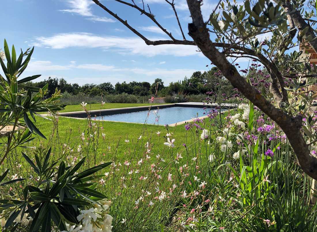 Une piscine rectangulaire au cœur de la nature - la végétation provençale