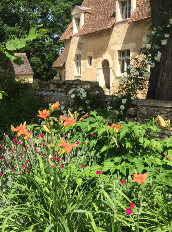 Fleurs d'orangés dans un jardin dans le Rhône