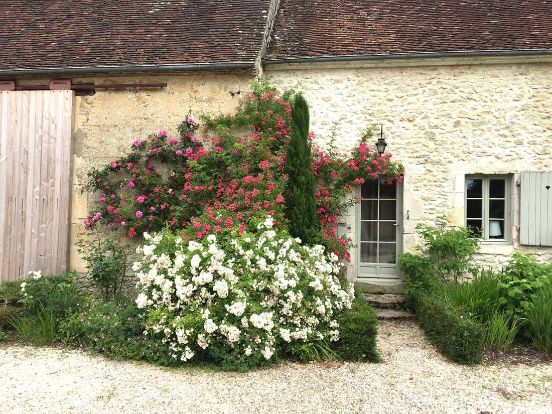 Jardin d'une maison ancienne à Lyon