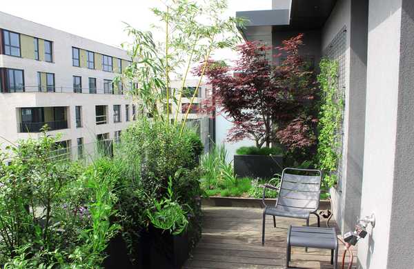 Aménagement paysager de la terrasse d'un penthouse à Lyon.