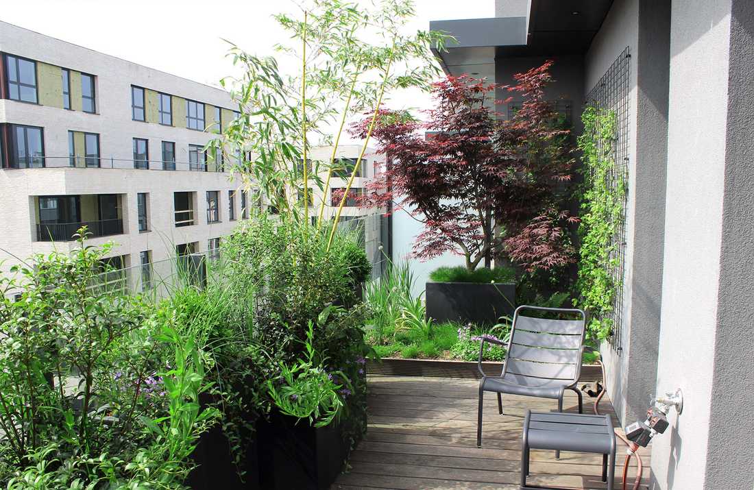 Aménagement paysager de la terrasse d'un penthouse à Lyon