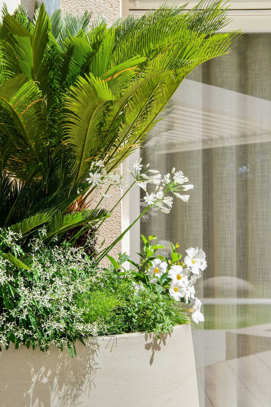 Détail de la végétation choisie par le paysagiste