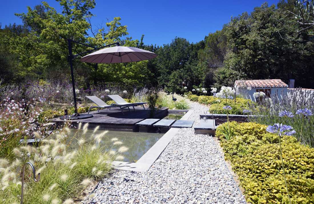 Aménagement d'un jardin méditerranéen avec piscine à Lyon