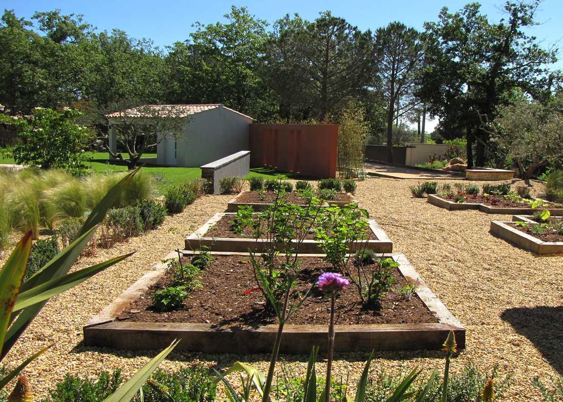 Potager méditerrannéen réalisé par un jardinier paysagiste à Lyon