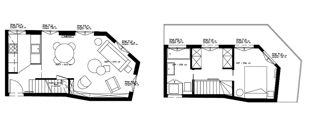 Plan de l'architecture intérieur d'un duplex à Lyon