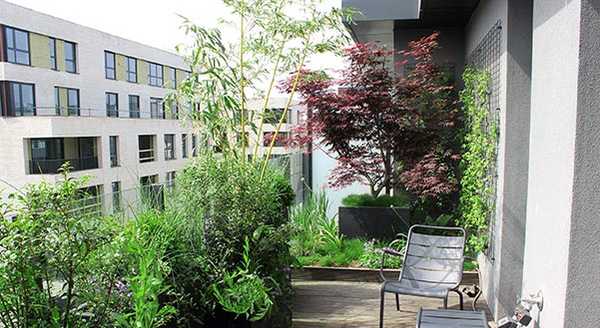 Aménagement de la terrasse d'un penthouse par un paysagiste à Lyon